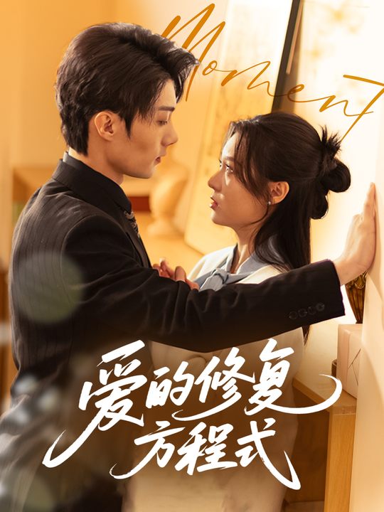 爱的修复方程式封面