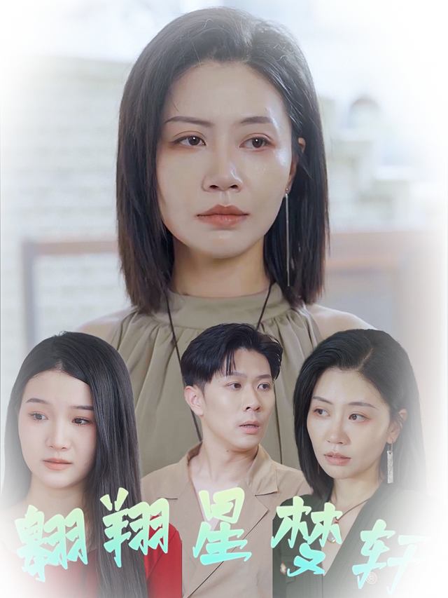 翱翔星梦轩封面