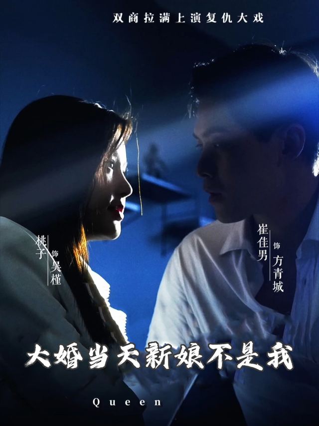 大婚当天新娘不是我封面