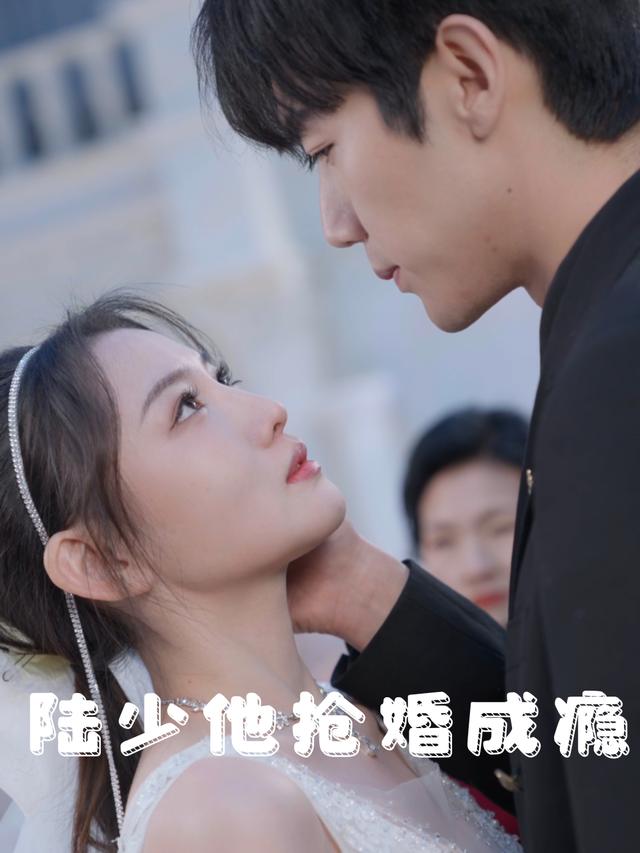 陆少他抢婚成瘾封面