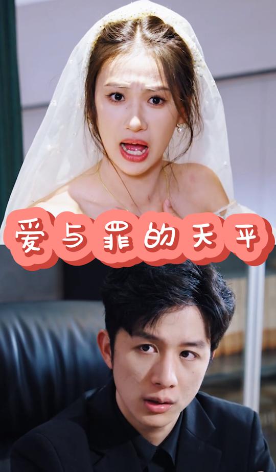 爱与罪的天平封面