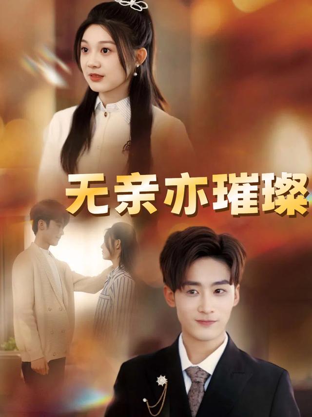 无亲亦璀璨封面