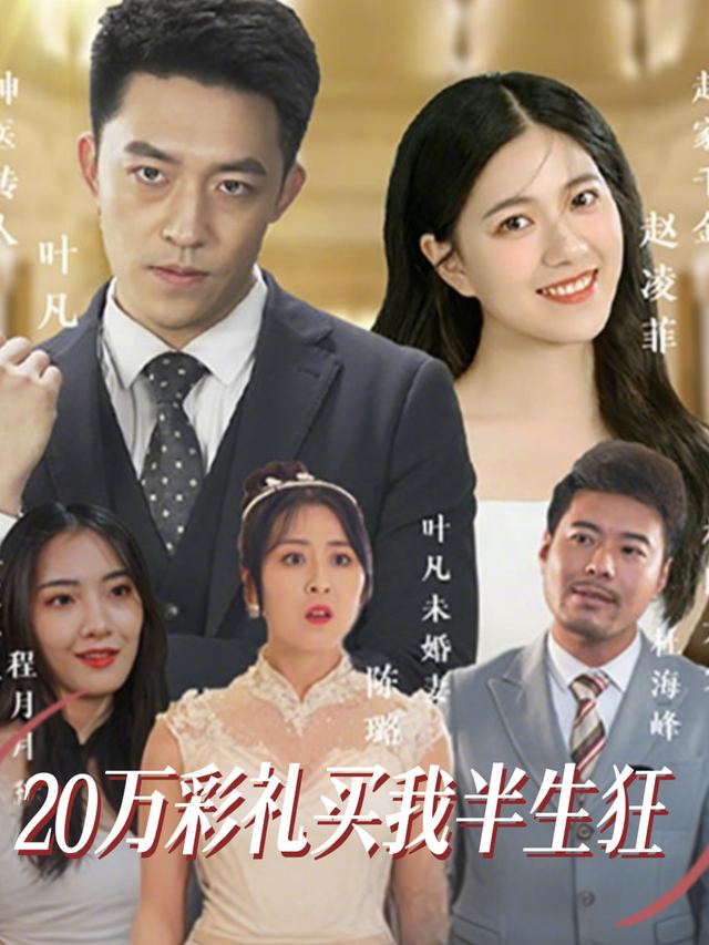 20万彩礼买我半生狂封面
