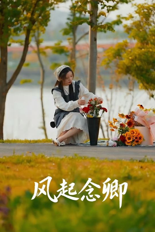 风起念卿封面