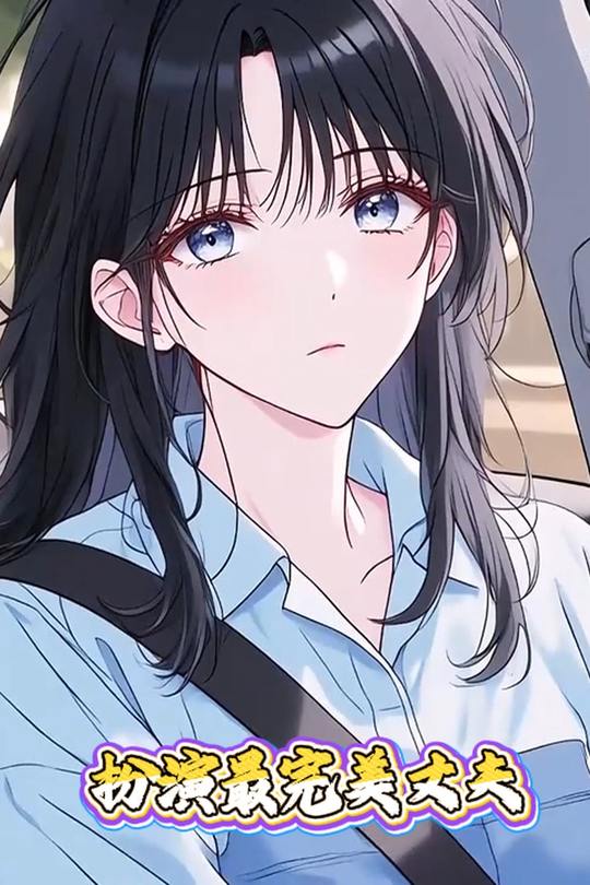 扮演最完美丈夫封面
