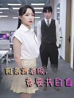 相亲遇老板,竟要共白首封面