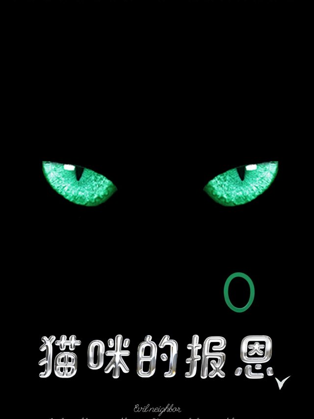 猫咪的报恩封面