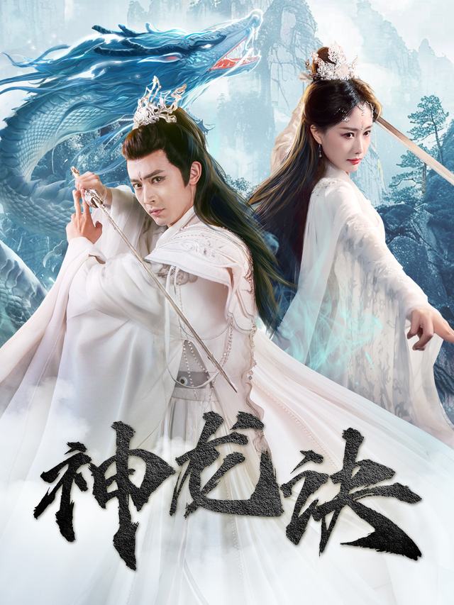 神龙诀封面