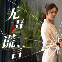 谎言无声封面