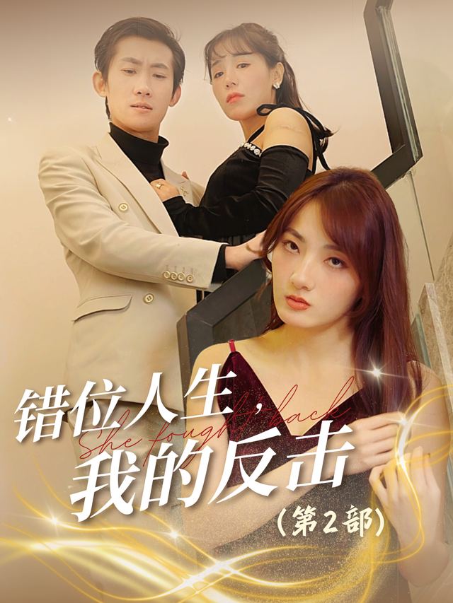 错位人生,我的反击(第2部)封面