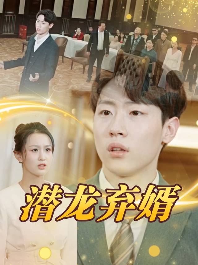 潜龙弃婿封面