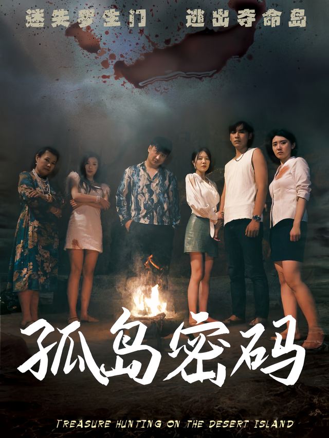 孤岛密码封面