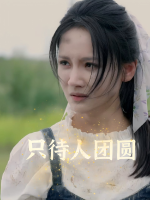 只待人团圆封面