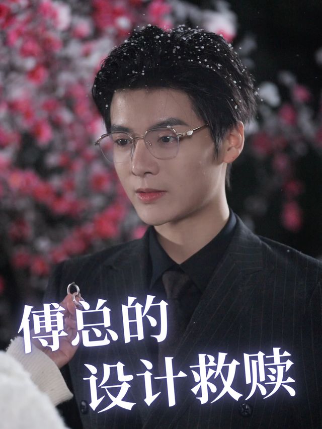 傅总的设计救赎封面
