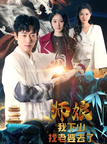 师娘我下山找老婆去了封面