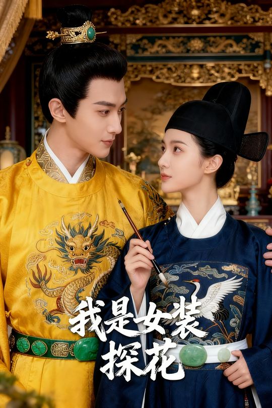 我是女装探花封面