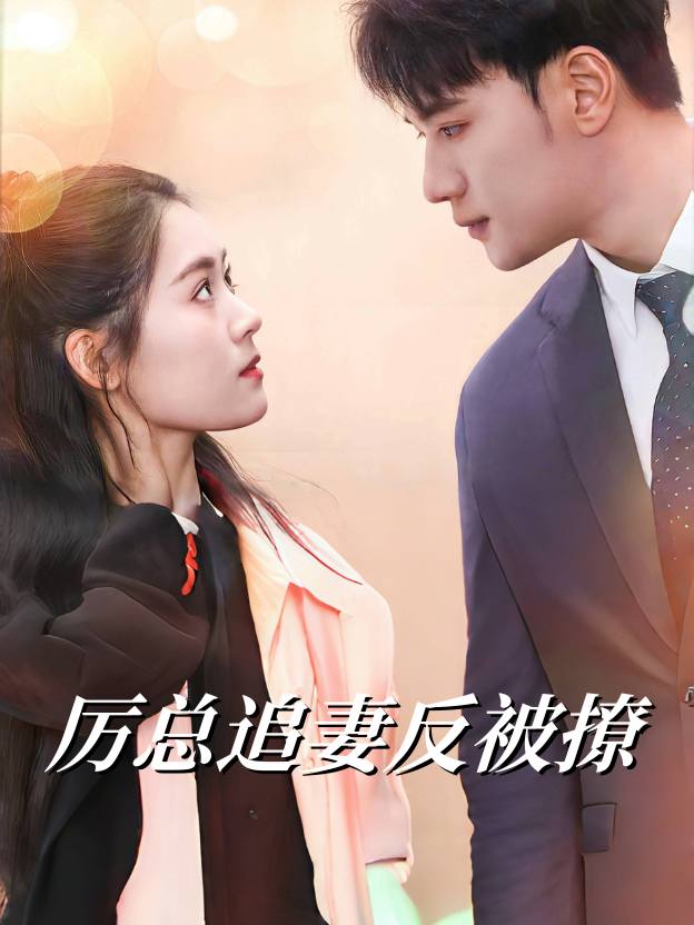 厉总追妻反被撩封面