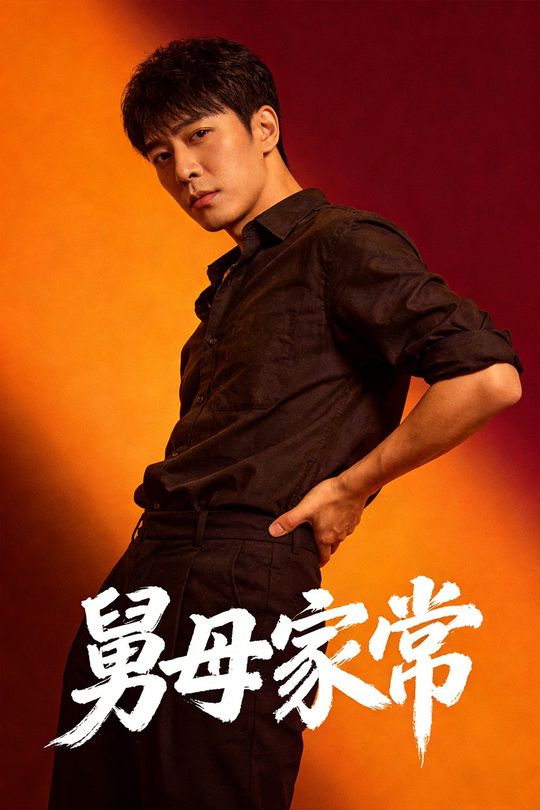 舅母家常封面