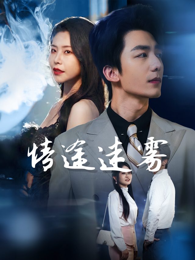 情途迷雾封面