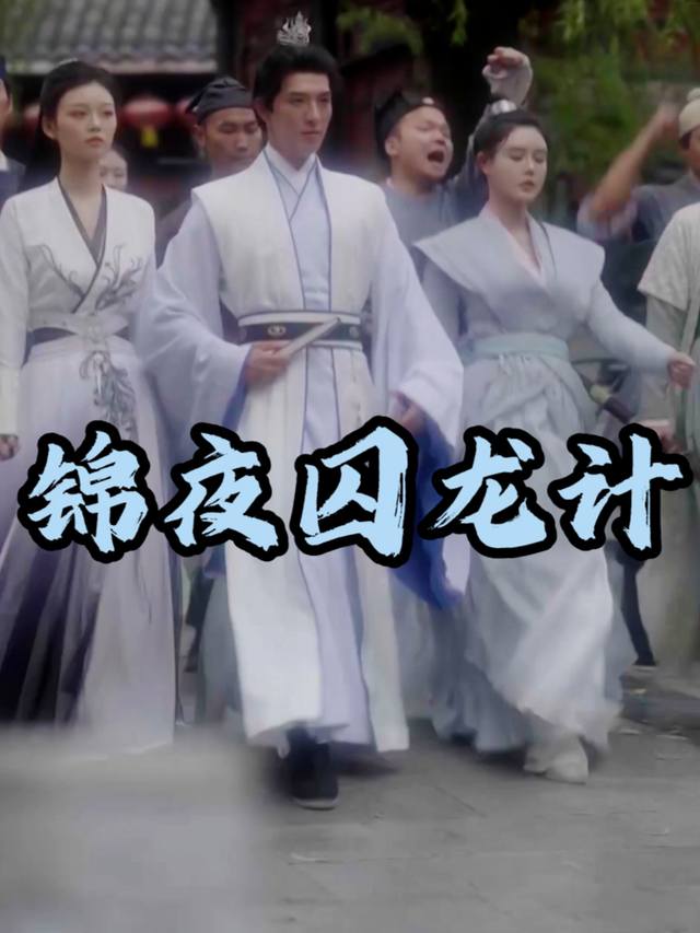 锦夜囚龙计封面