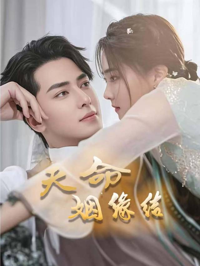 天命因缘结封面