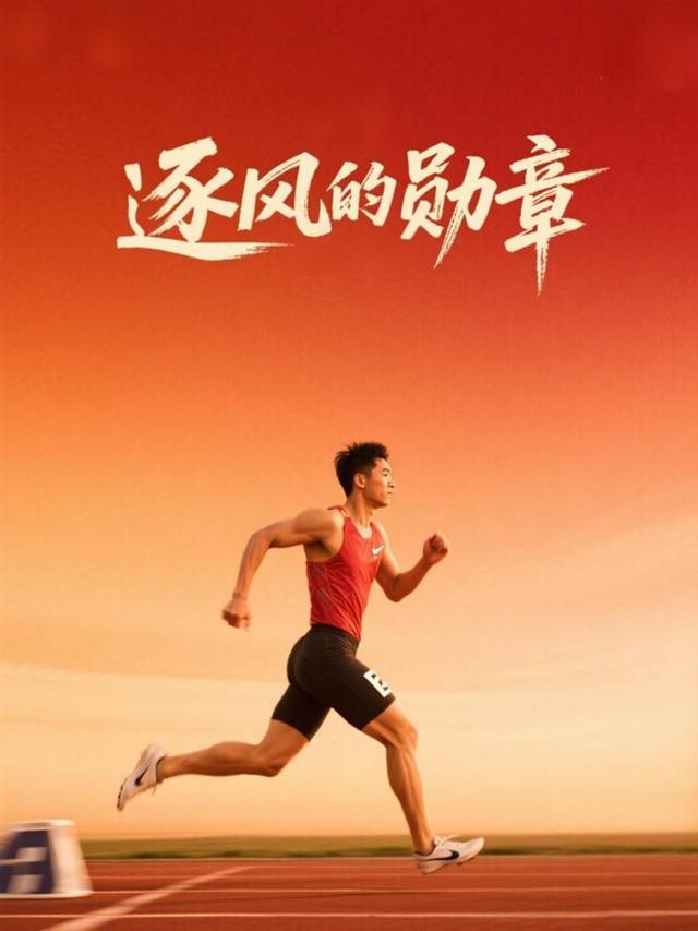 逐风的勋章封面