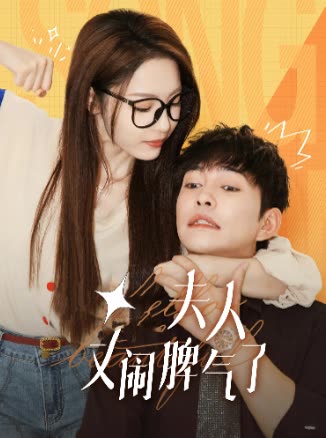 夫人又闹脾气了封面