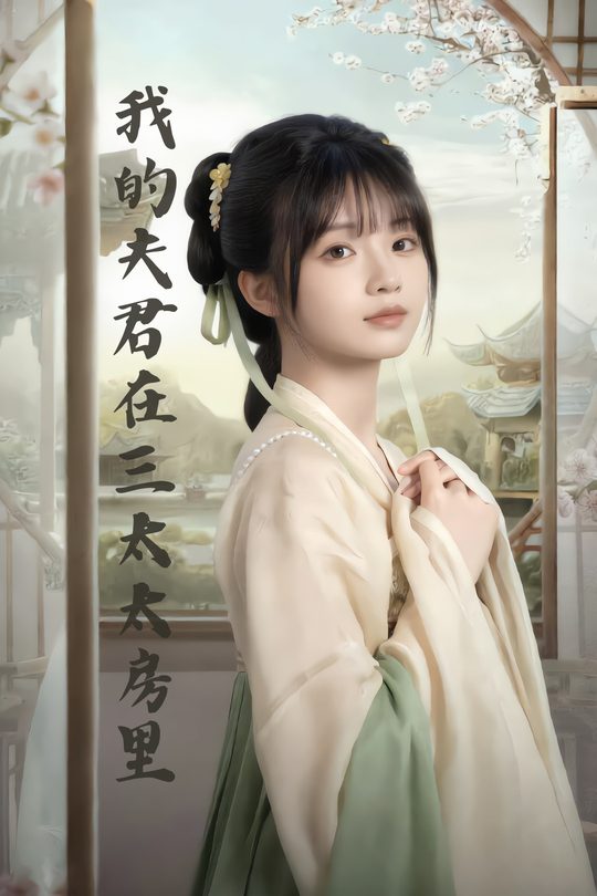 我的夫君在三太太房里封面