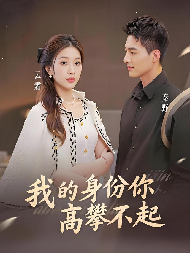 我的身份你高攀不起封面