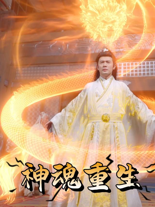 神魂重生封面