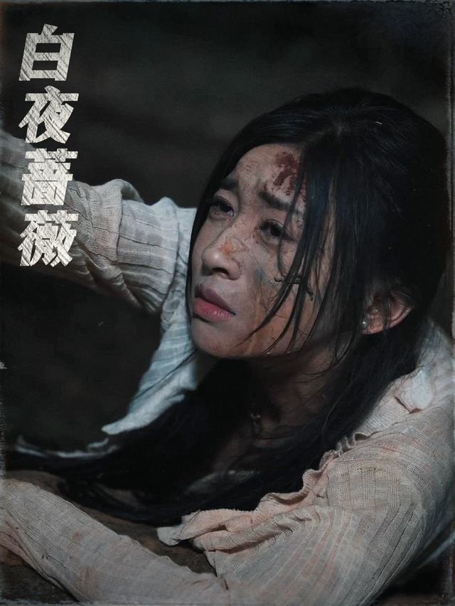 白夜蔷薇封面