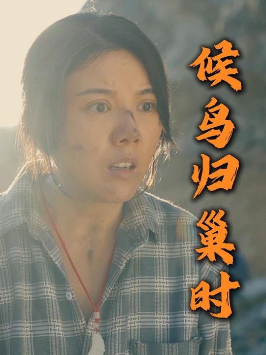 候鸟归巢时封面