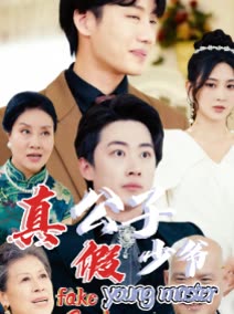 真公子假少爷封面