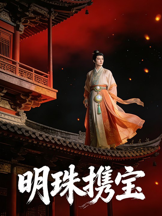 明珠携宝封面