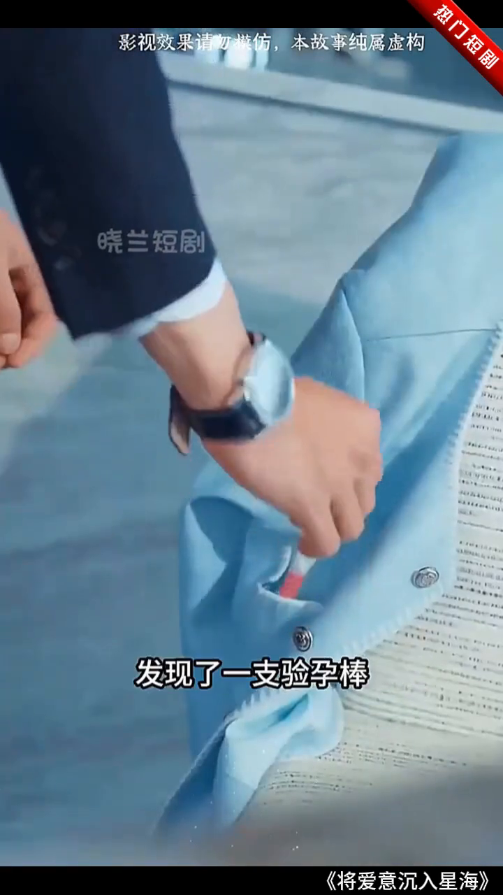 将爱意沉入星海封面