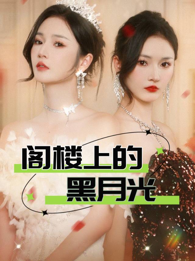 阁楼上的黑月光封面