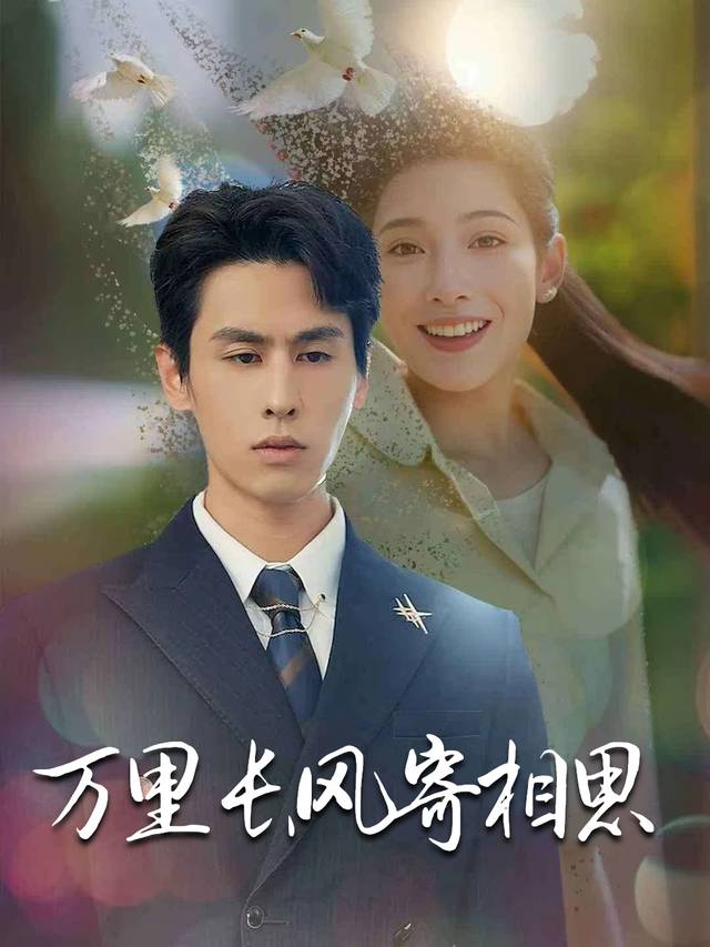 万里长风寄相思封面