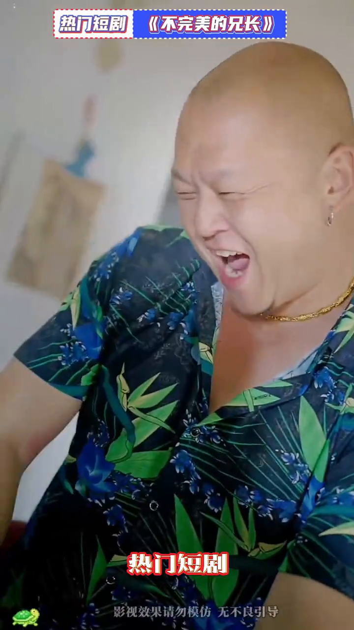 不完美的兄长封面