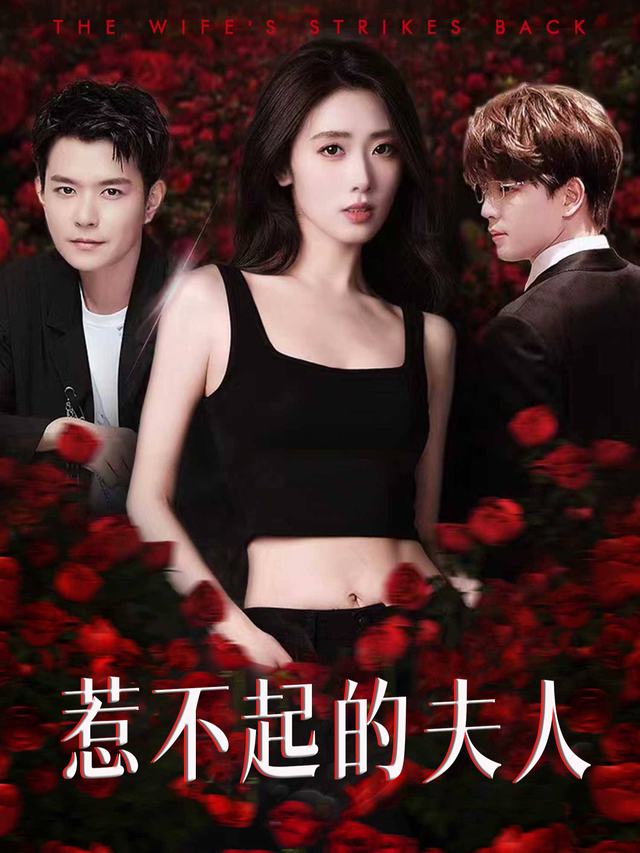惹不起的夫人封面