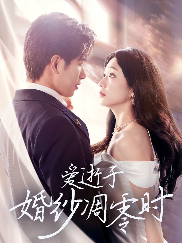 爱逝于婚纱凋零时封面