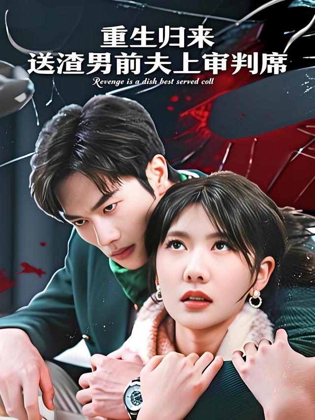 重生归来,送渣男前夫上审判席封面
