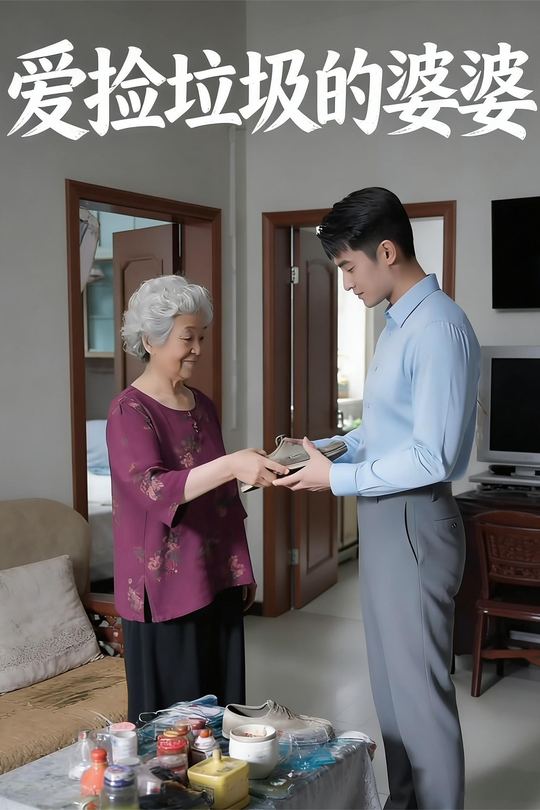 爱捡垃圾的婆婆封面