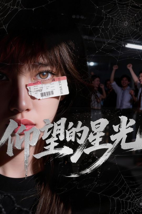 仰望的星光封面