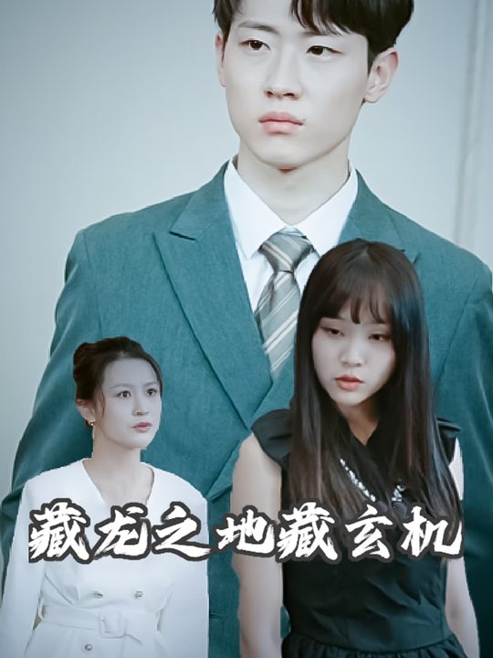 藏龙之地藏玄机封面