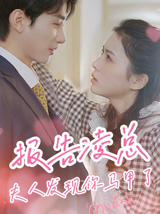 报告凌总夫人发现你马甲了封面