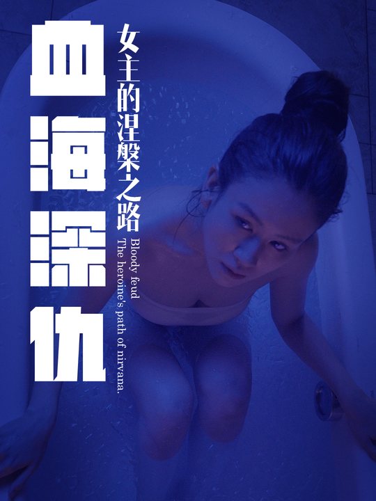 血海深仇之女主的涅槃之路封面