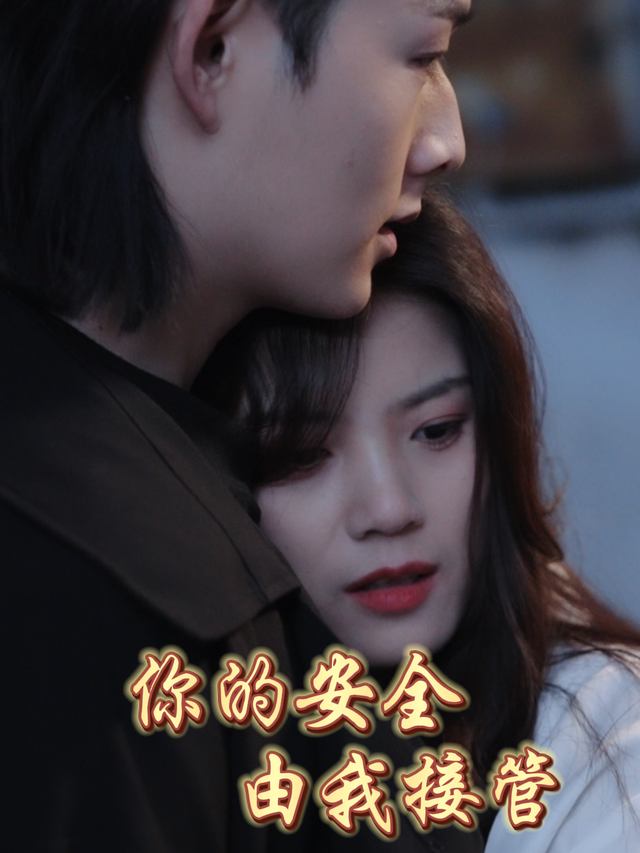 你的安全由我接管封面