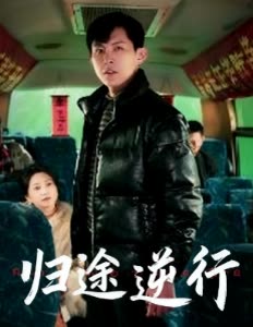 归途逆行封面