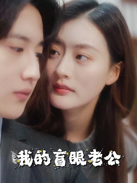我的盲眼老公封面