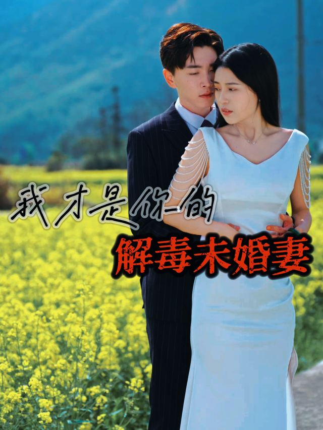 我才是你的解毒未婚妻封面